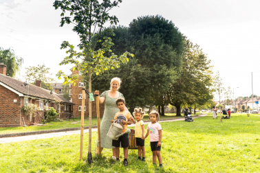 DONATE to Trees for Streets Picture of DONATE to Trees for Streets