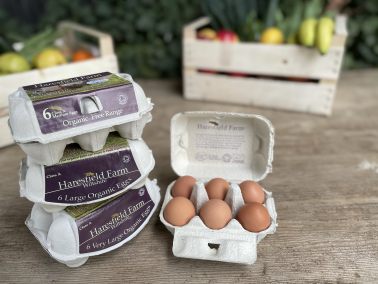 Free-range organic eggs Picture of Free-range organic eggs