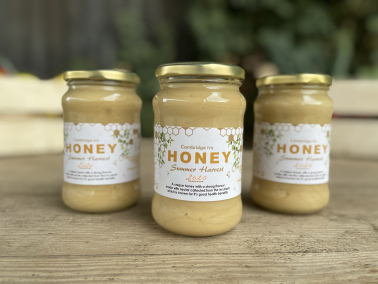 Local Honey Picture of Local Honey