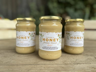 Picture of Local Honey