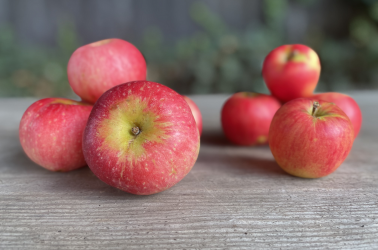 Picture of Apples - Audley End Heritage Varieties 400g