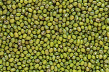 Picture of Arjuna - Whole Mung Beans 500g