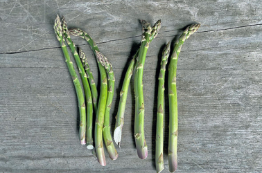 Picture of Asparagus bunch - Local 200g