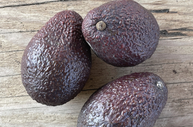 Picture of Avocado Hass - 300g