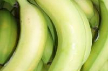 Picture of Banana
