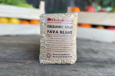 Picture of Beans - Split Fava Beans 500g - Hodmedods Organic