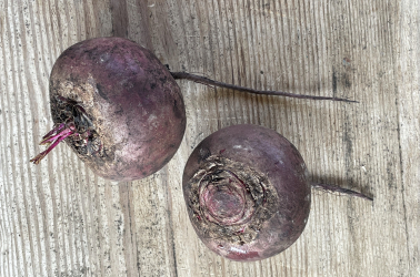 Picture of Beetroot - red or Chioggia