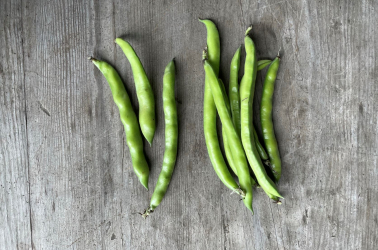 Picture of Broad Beans - Local / UK 500g