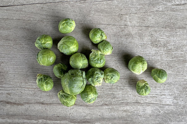 Brussels Sprouts Picture of Brussels Sprouts
