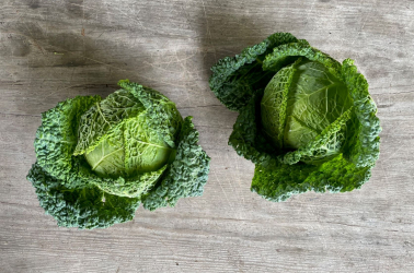 Picture of Cabbage - Savoy
