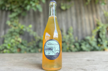 Picture of Cambucha - Ginger and Lemon Kombucha 750ml (non-organic)