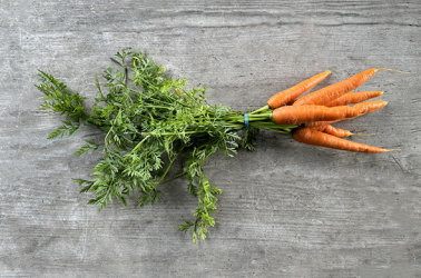 Carrots - bunched orange (500g+) Picture of Carrots - bunched orange (500g+)
