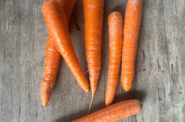 Picture of Carrots - orange / rainbow (washed)