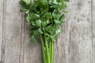 Picture of Celery - with leaves