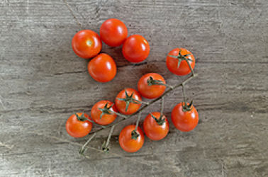 Cherry tomatoes (mixed colours) - 250g Picture of Cherry tomatoes (mixed colours) - 250g