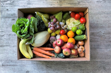 Picture of Choice Giant FRUIT and VEGETABLE Box