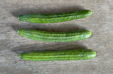 Picture of Cucumber