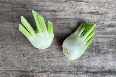 Fennel 300g+ Picture of Fennel 300g+