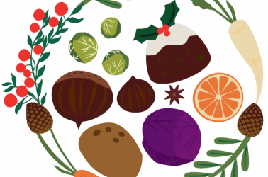 Picture of HOLIDAY Choice Box: 26 Points (20% off)