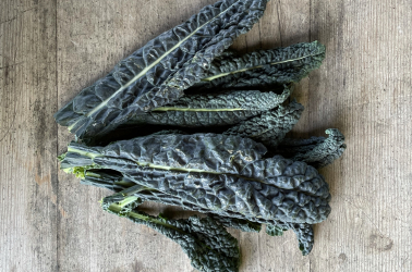 Picture of Kale - Tuscan / Cavolonero (Local)