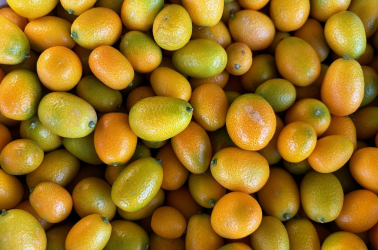 Kumquat 200g Picture of Kumquat 200g
