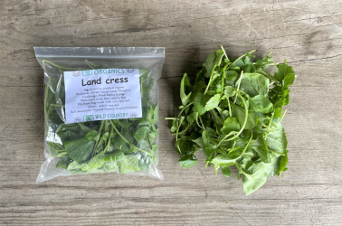 Picture of Landcress (50g bag)