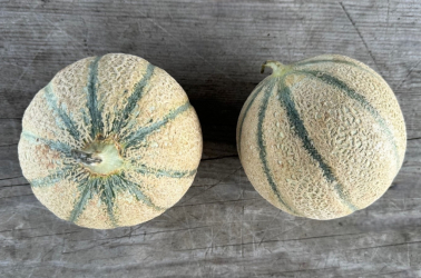Melon Chanterais (large c.1kg) Picture of Melon Chanterais (large c.1kg)