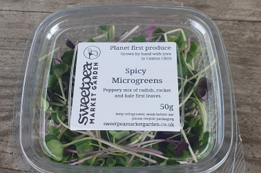Microgreen punnet 50g (not organic) SORRY NOT AVAILABLE THIS WEEK Picture of Microgreen punnet 50g (not organic) SORRY NOT AVAILABLE THIS WEEK