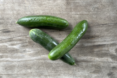 Picture of Mini Cucumber
