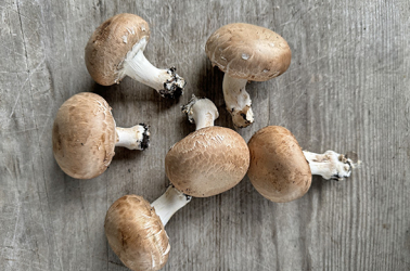Picture of Mushrooms (chestnut) SORRY NOT AVAILABLE TUESDAY