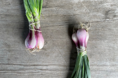 Picture of Onions green/fresh - Local 500g