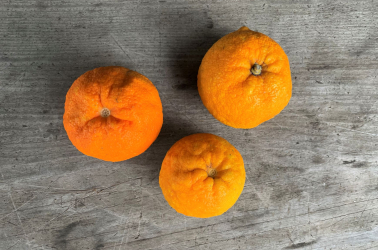 Picture of Oranges - Seville (for marmalade) 500g - FINAL WEEKS