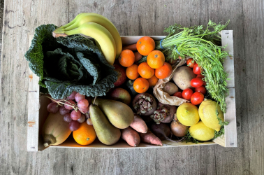 Picture of Original Large FRUIT and VEGETABLE Box