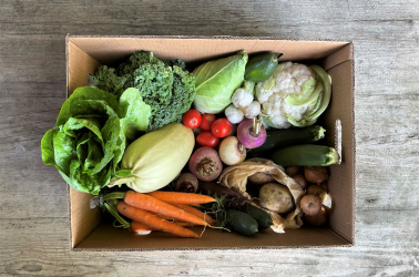 Picture of OriginalPLUS+ Giant Vegetable Box