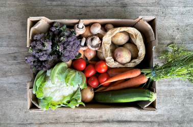 Picture of OriginalPLUS+ Medium Vegetable Box