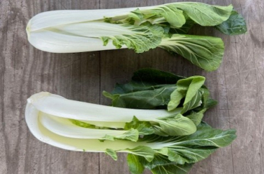 Picture of Pak Choi