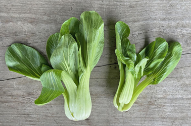 Picture of Pak Choi/Bok Choy