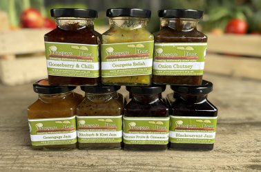 Picture of Prospects Trust Sweet Cucumber Pickle £2.90 OUT OF STOCK