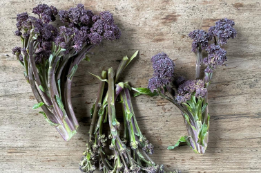 Picture of Purple Sprouting Broccoli - 200g