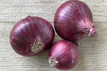 Picture of Red onions