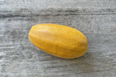 Picture of Spaghetti Squash