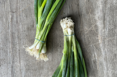 Spring Onions bunch Picture of Spring Onions bunch