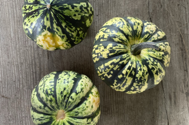 Picture of Squash Harlequin (c.600g)