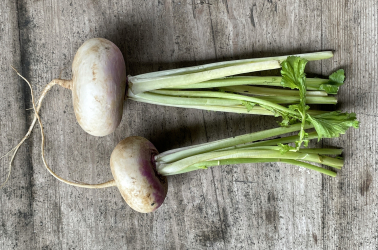 Picture of Summer Turnip - 400g