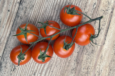 Picture of Tomatoes - cherry vine