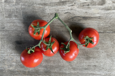 Picture of Tomatoes cherry